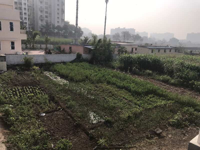 Agricultural Land 10000 Sq.ft. for Rent in Wagholi, Pune