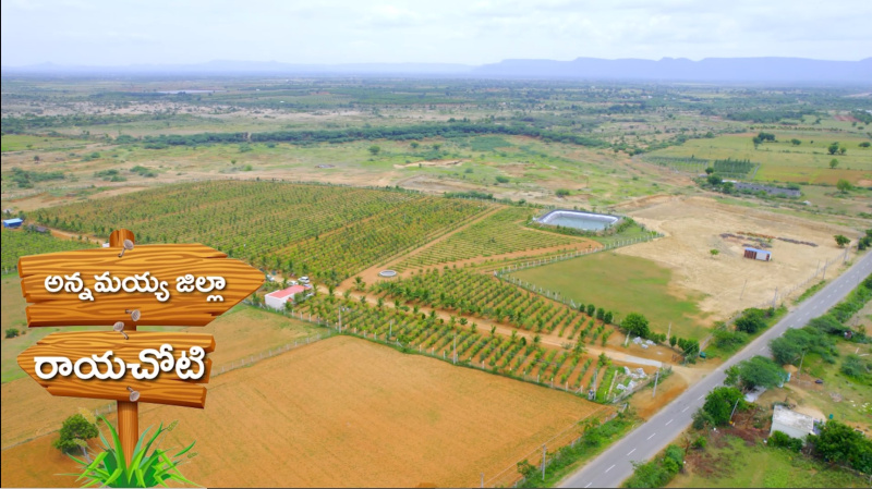  Agricultural Land 3 Cent for Sale in Rayachoti, Cuddapah