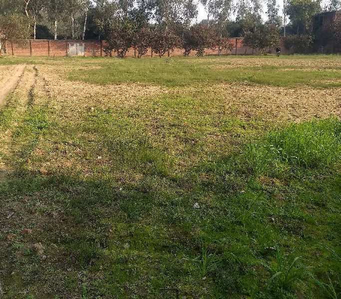 Agricultural Land 4400 Sq. Yards for Sale in Ambala Road, Saharanpur