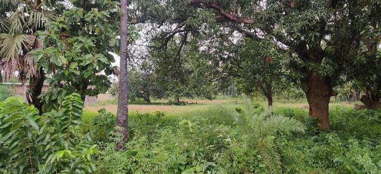 9000 Sq.ft. Farm House for Sale in Sabalabhanga, Baluakata Angul ...