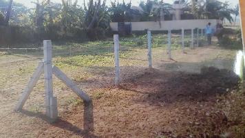  Residential Plot for Sale in Kunissery, Palakkad