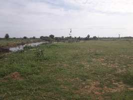  Agricultural Land for Sale in Rapthadu, Anantapur