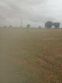  Agricultural Land for Sale in Rapthadu, Anantapur