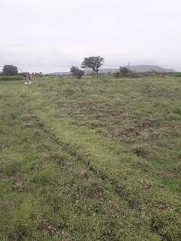  Agricultural Land for Sale in Chennekothapalli, Anantapur