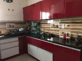 2 BHK Builder Floor for Rent in Hitech City, Hyderabad
