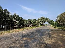  Agricultural Land for Sale in Aruppukkottai, Virudhunagar