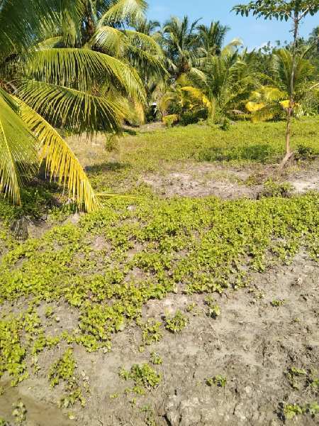  Industrial Land 5 Acre for Sale in Havelock Island, Andaman