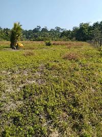  Industrial Land for Sale in Havelock Island, Andaman