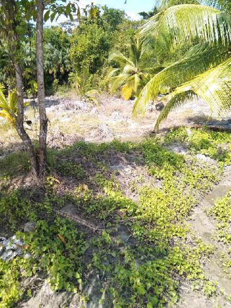  Industrial Land 5 Acre for Sale in Havelock Island, Andaman