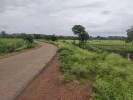  Agricultural Land for Sale in Shankarpally, Rangareddy