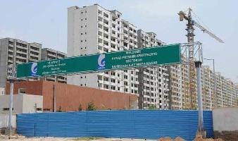 3 BHK Flat for Rent in Sector 88 Mohali