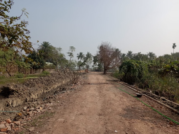  Residential Plot for Sale in Joka, Kolkata