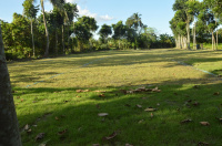  Residential Plot for Sale in New Town, Kolkata