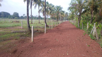  Commercial Land for Sale in Sawantwadi, Sindhudurg