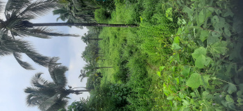 Commercial Land for Sale in Sawantwadi, Sindhudurg