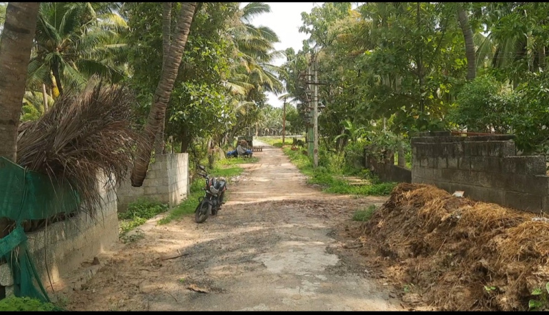  Agricultural Land 3 Acre for Sale in Thenthamaraikulam, Kanyakumari