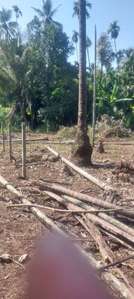  10200 Sq.ft. Residential Plot for Sale in Chaul, Alibag, Raigad