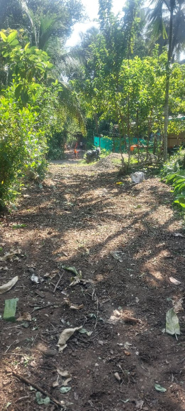  10200 Sq.ft. Residential Plot for Sale in Chaul, Alibag, Raigad