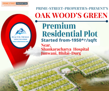  Residential Plot for Sale in Junwani Road, Durg
