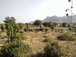  Agricultural Land for Rent in Delhi Road, Jaipur
