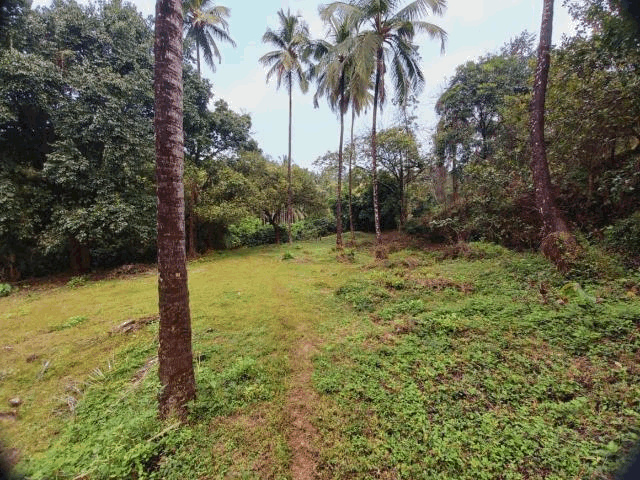  Residential Plot 80000 Sq.ft. for Sale in Sawantwadi, Sindhudurg