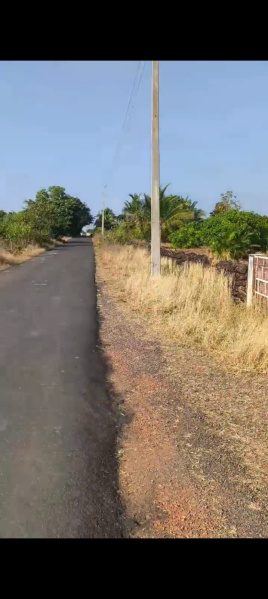  Residential Plot 2 Acre for Sale in Vengurla, Sindhudurg