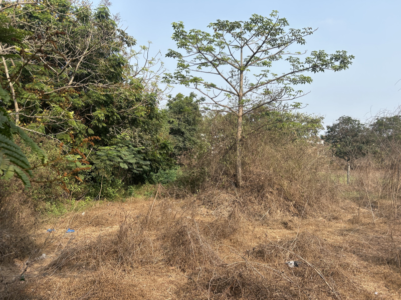  Residential Plot 2100 Sq. Meter for Sale in Tivim, North Goa, 