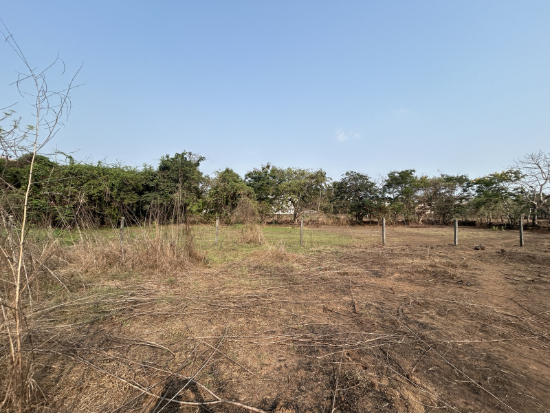  Residential Plot 2100 Sq. Meter for Sale in Tivim, North Goa, 