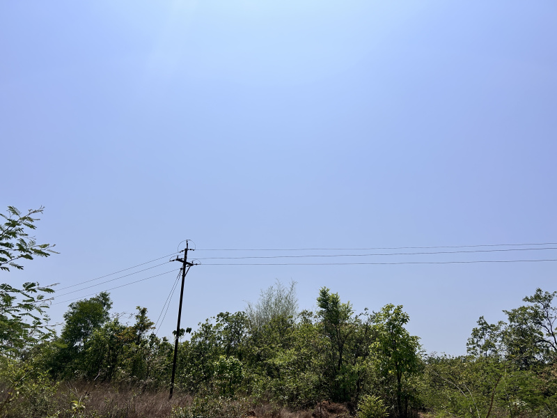  Residential Plot 8 Ares for Sale in Kudal, Sindhudurg