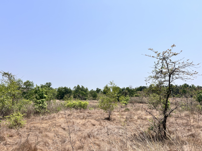  Residential Plot 8 Ares for Sale in Kudal, Sindhudurg