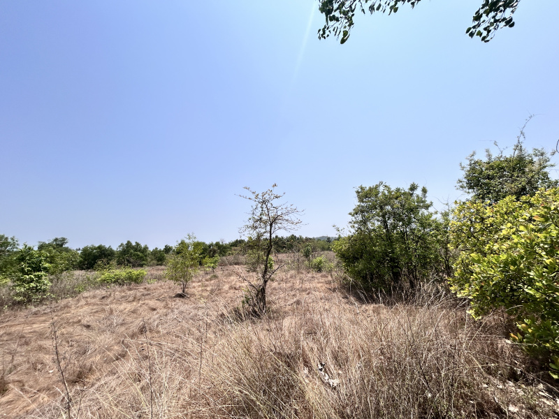  Residential Plot 8 Ares for Sale in Kudal, Sindhudurg