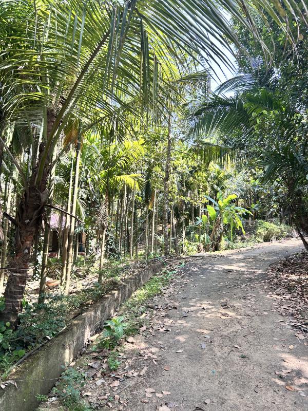  Residential Plot 5 Acre for Sale in Kudal, Sindhudurg