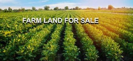  Agricultural Land for Sale in Baraula Bypass, Aligarh