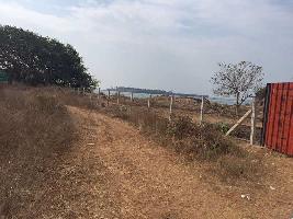  Commercial Land for Sale in Malwan, Sindhudurg