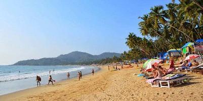  Commercial Land for Sale in Agonda, South Goa