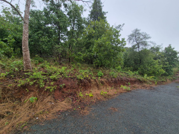  Residential Plot for Sale in Nuvem, South Goa, 