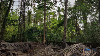  Residential Plot for Sale in Benaulim, Goa