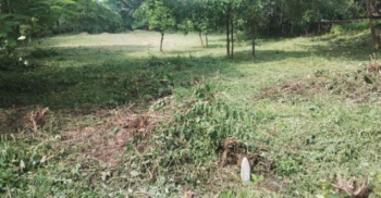  Residential Plot for Sale in Siolim, Bardez, Goa