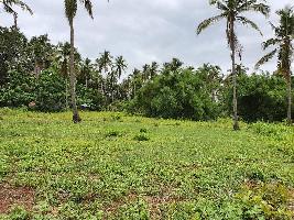  Residential Plot for Sale in Benaulim, Goa
