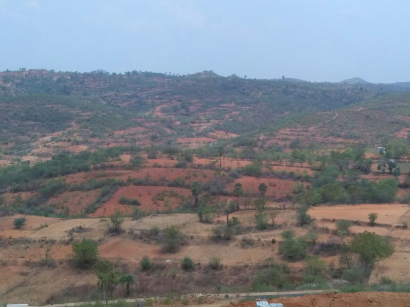 320 Acre Agricultural/Farm Land for Sale in Perumbalai, Dharmapuri