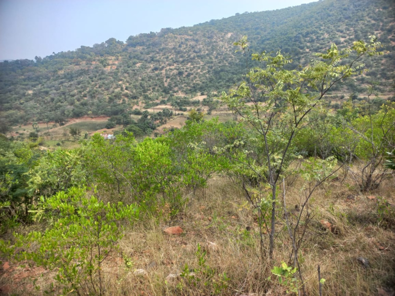  26 Acre Guest House for Sale in Perumbalai, Dharmapuri