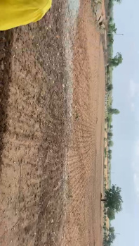  Agricultural Land for Sale in Madgul, Mahbubnagar