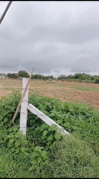  Agricultural Land 2 Acre for Sale in Maheshwaram, Hyderabad