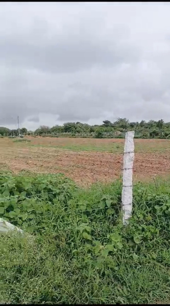  Agricultural Land 2 Acre for Sale in Maheshwaram, Hyderabad