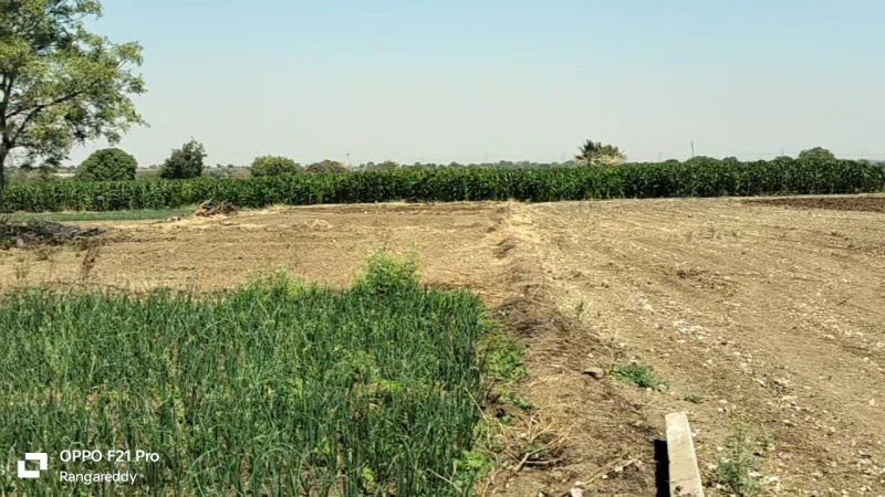  Agricultural Land 1 Acre for Sale in Gachibowli, Hyderabad