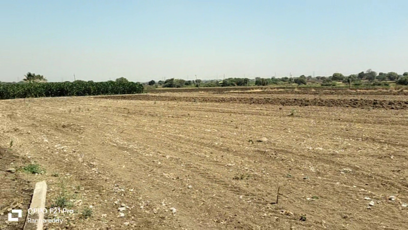  Agricultural Land 1 Acre for Sale in Gachibowli, Hyderabad