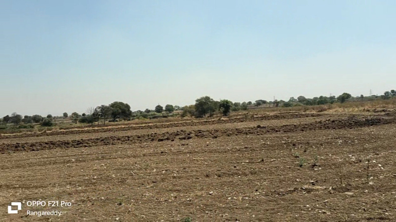  Agricultural Land 1 Acre for Sale in Gachibowli, Hyderabad