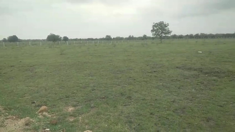  Agricultural Land 7 Acre for Sale in Chevella Mandla, Hyderabad
