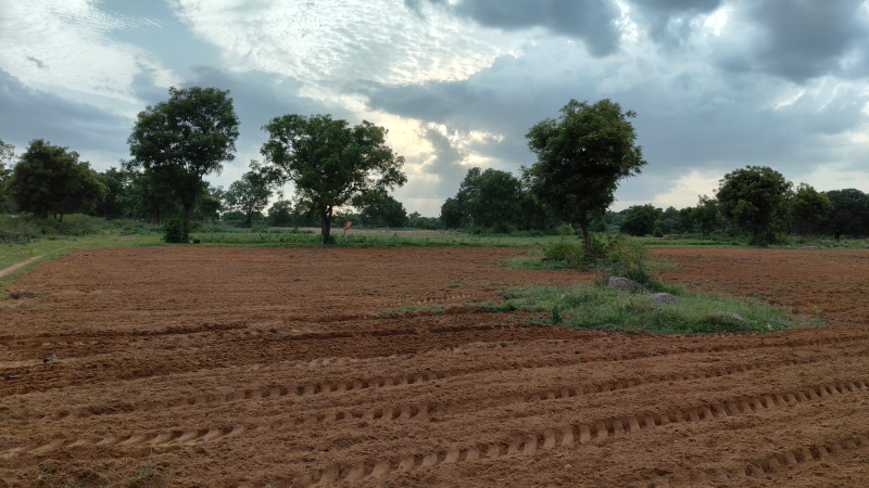  16 Acre Agricultural/Farm Land for Sale in Mucherla, Hyderabad