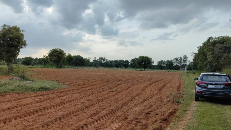  16 Acre Agricultural/Farm Land for Sale in Mucherla, Hyderabad